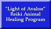 Reiki Classes